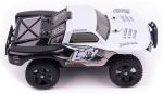 734734-auto-rally-truck-4